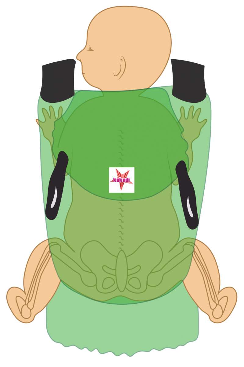 Warum die richtige Babytrage Hüftprobleme verhindern kann. - KOKADI